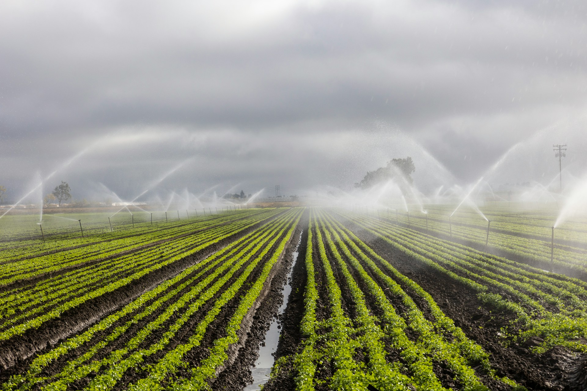 Solar Submersible Pump Brings Reliable Irrigation to Remote Farm in Nigeria